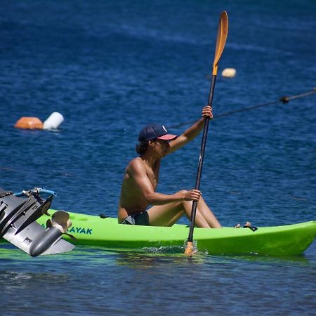 Soufriere Guesthouse Ngoại thất bức ảnh