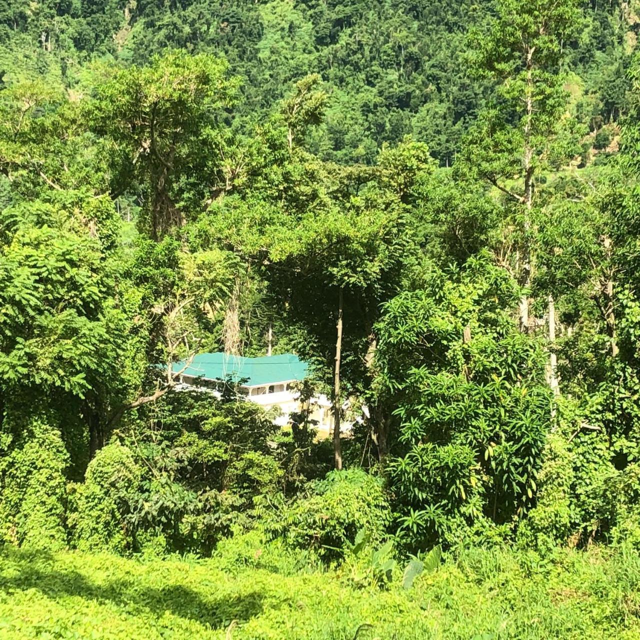 Soufriere Guesthouse Ngoại thất bức ảnh